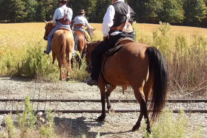 a man riding a horse in a field