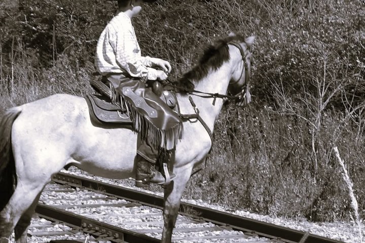 a man riding a horse