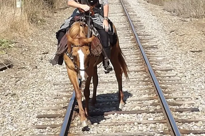 a man riding a horse on a dirt road