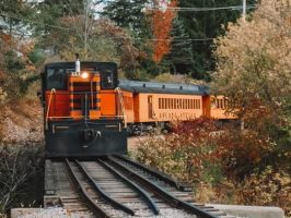 a train traveling down train tracks near a forest