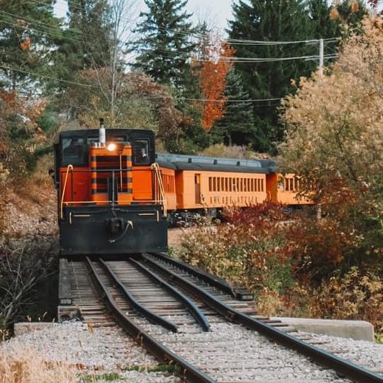 a train traveling down train tracks near a forest