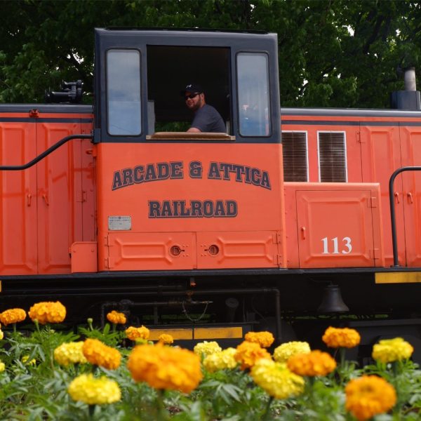 an orange train on the tracks