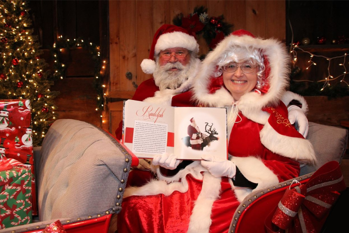 a teddy bear wearing a christmas hat