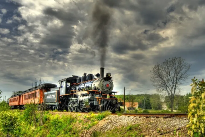a train traveling down train tracks near a forest