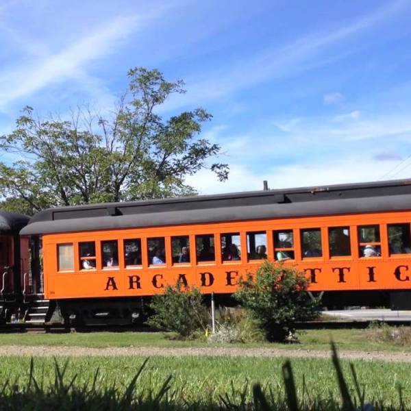 a train is parked on the grass