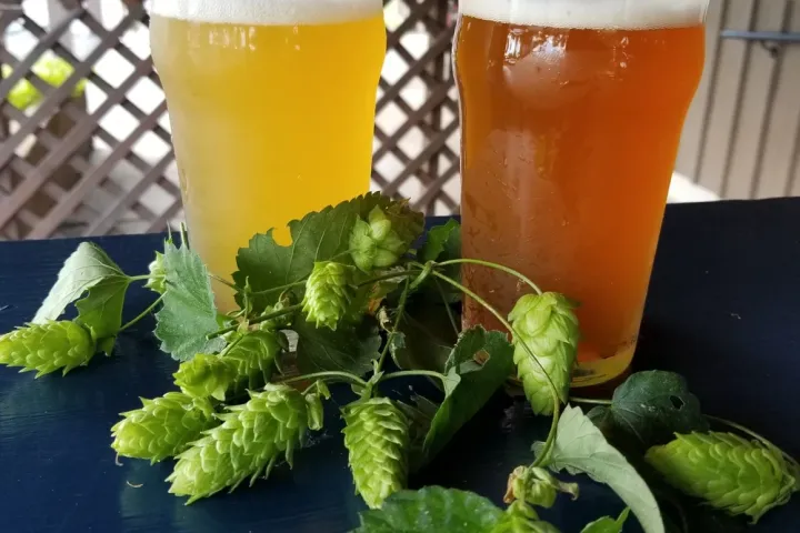 a glass of beer on a table