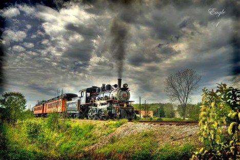 a train traveling down train tracks near a forest